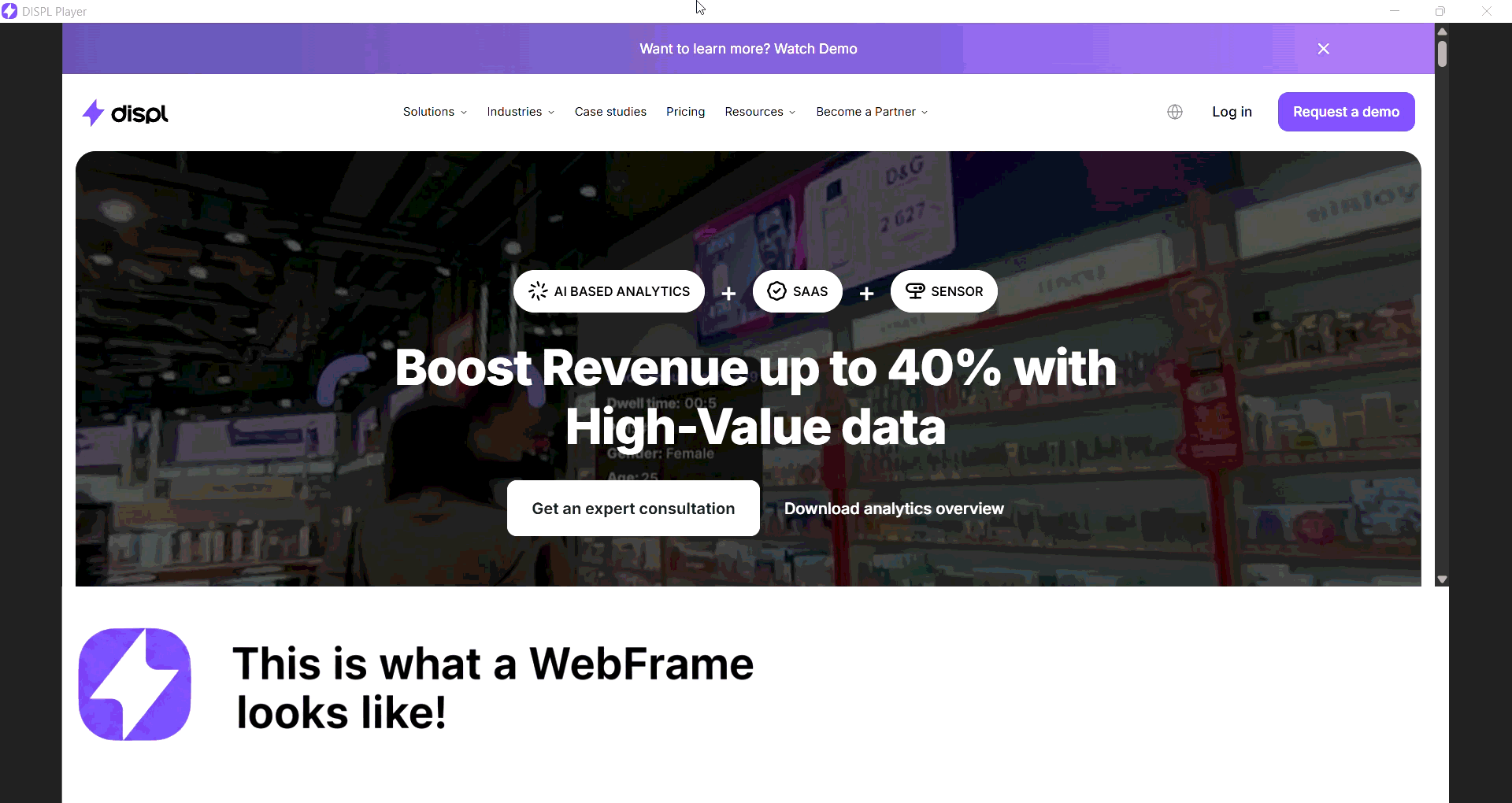 WebFrame.gif